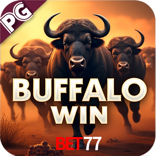 Descubra o Mundo do Cassino Online com bet77